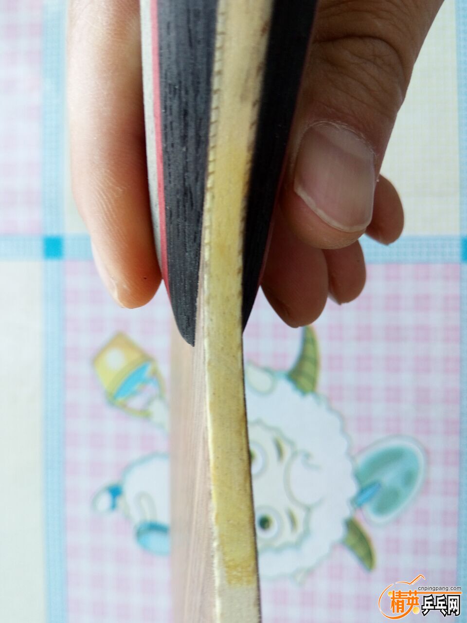 QQͼƬ20160220090143.jpg