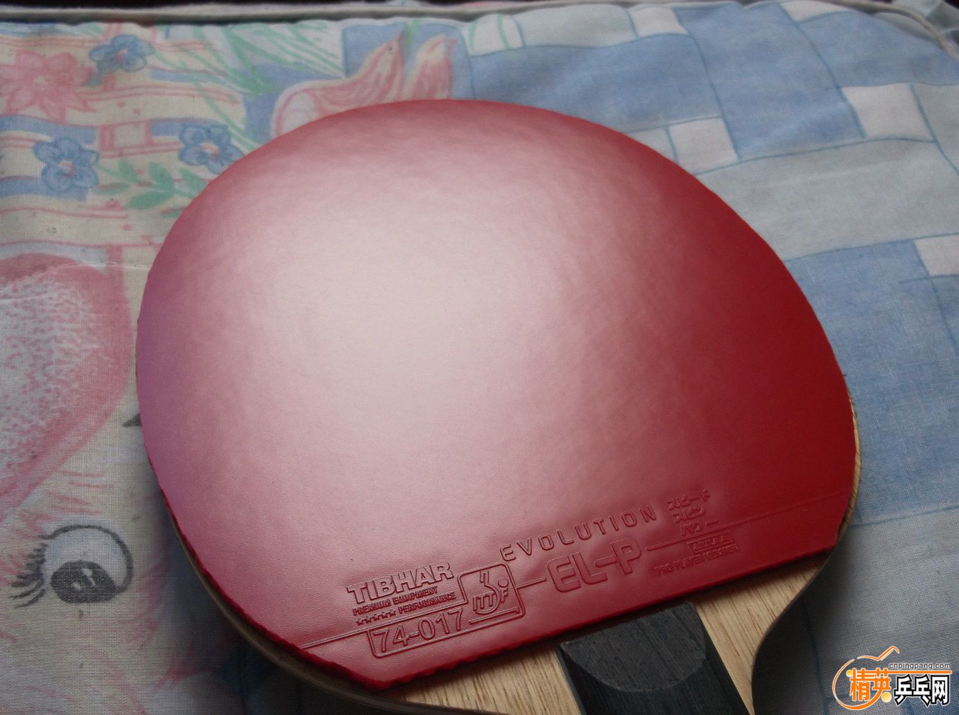 DSCF1514.JPG