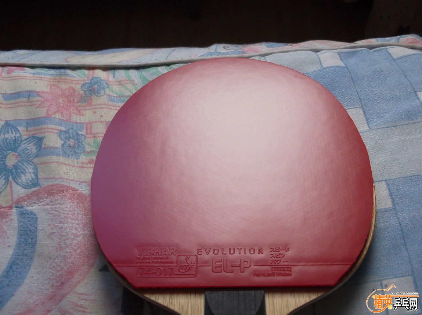 DSCF1515.JPG