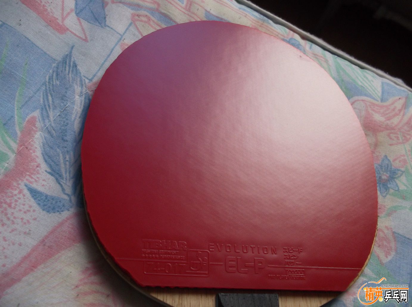 DSCF1516.JPG