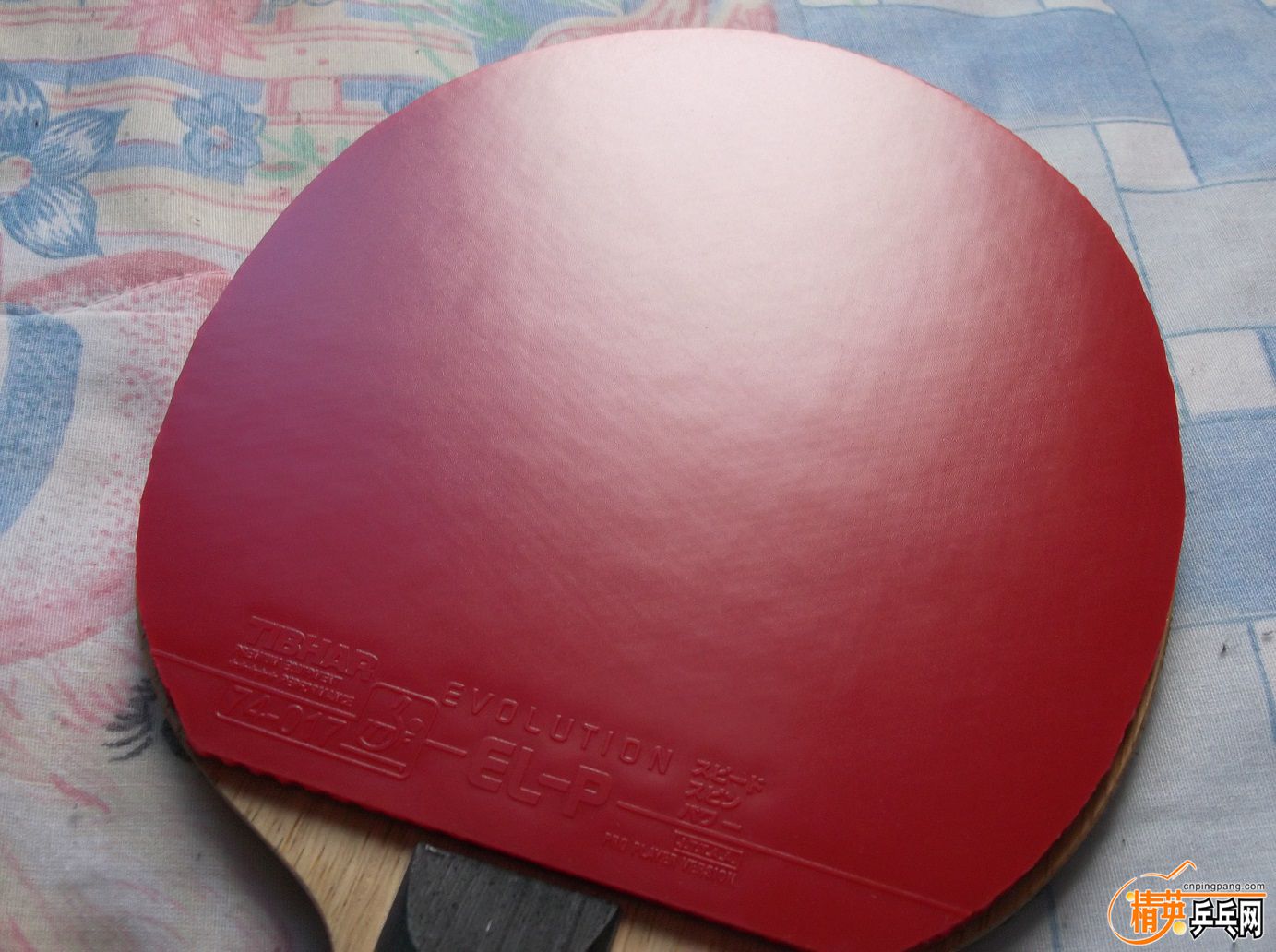 DSCF1517.JPG