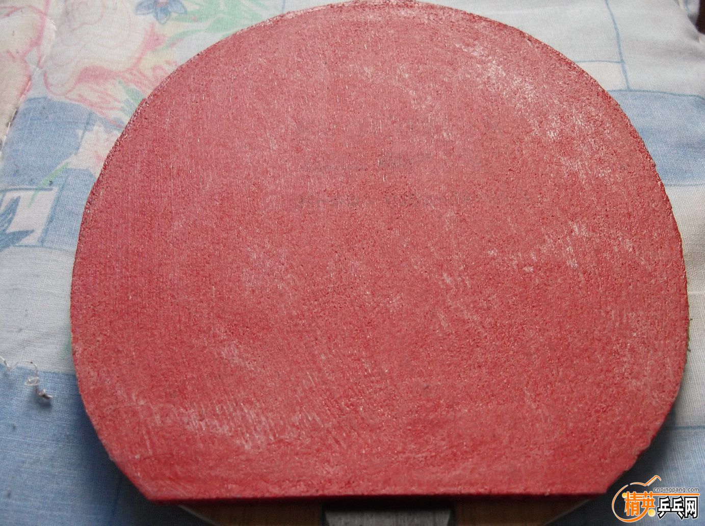 DSCF1506.JPG
