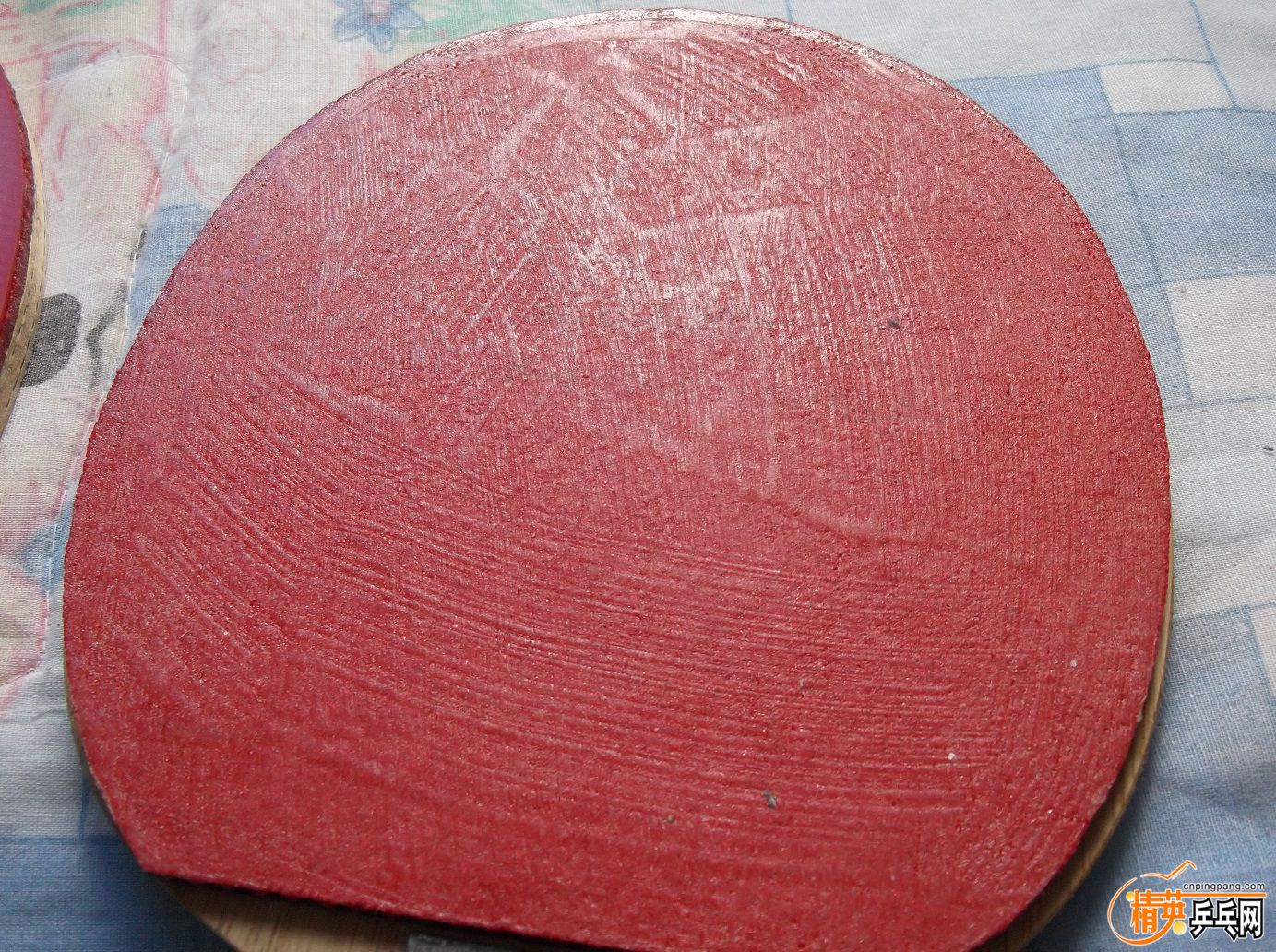DSCF1509.JPG