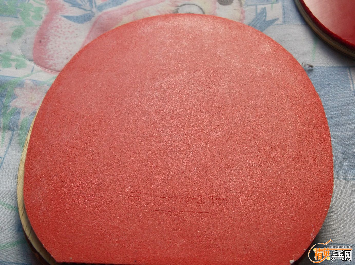 DSCF1505.JPG