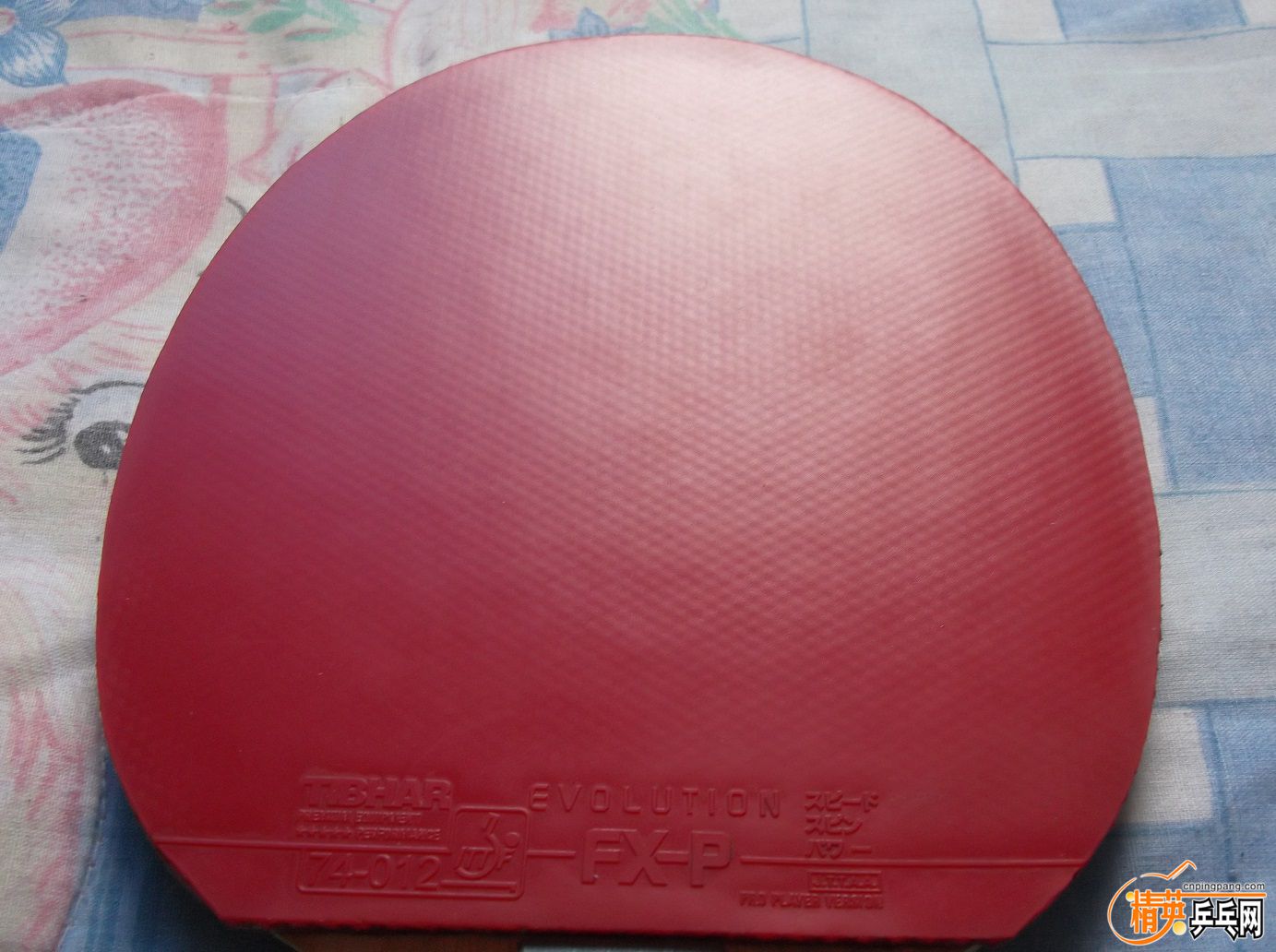 DSCF1510.JPG