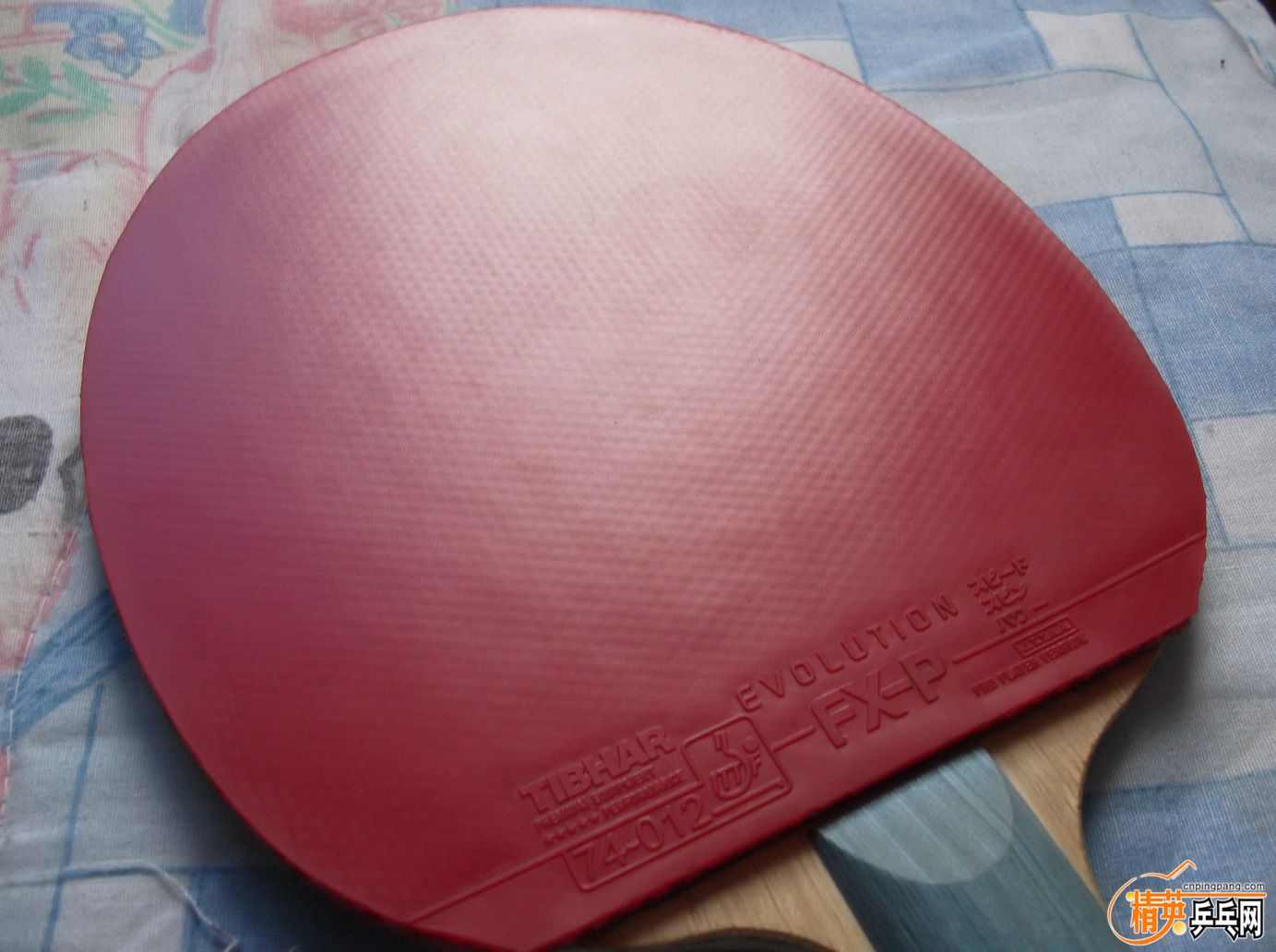 DSCF1511.JPG