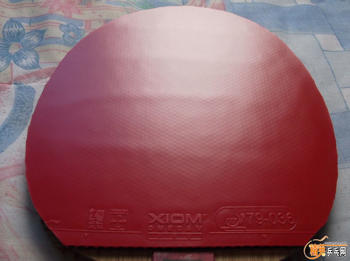 DSCF1512.JPG