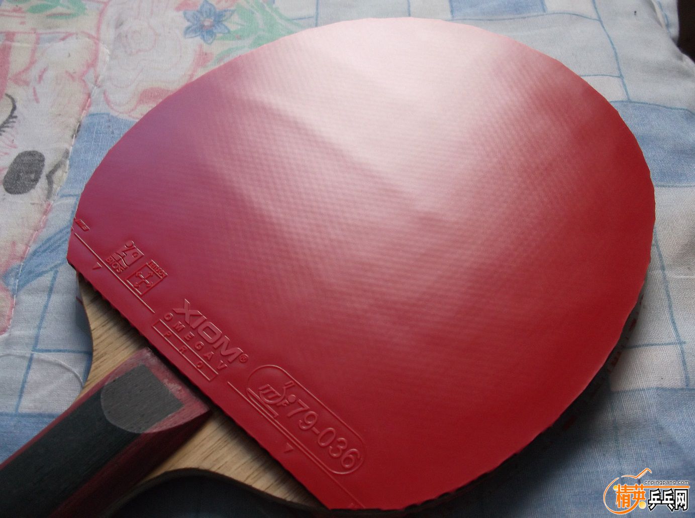 DSCF1513.JPG