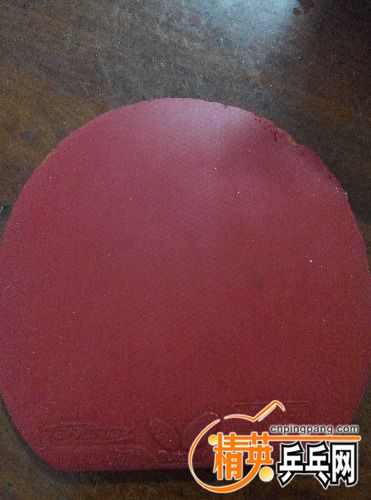 IMG20160223153017.jpg
