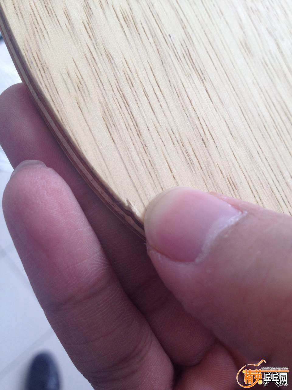 814986484487650634.jpg