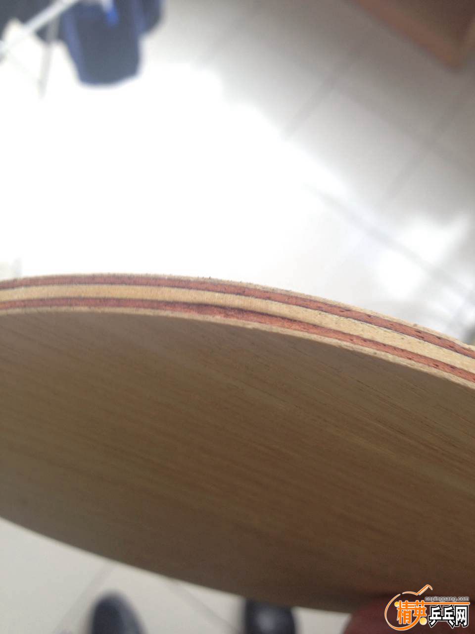 497202043651135192.jpg