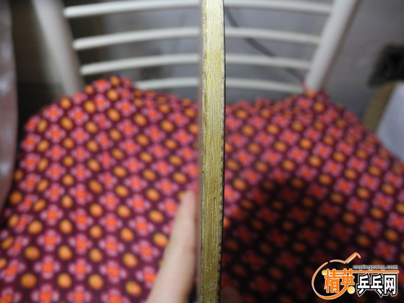 DSCN0022_.jpg