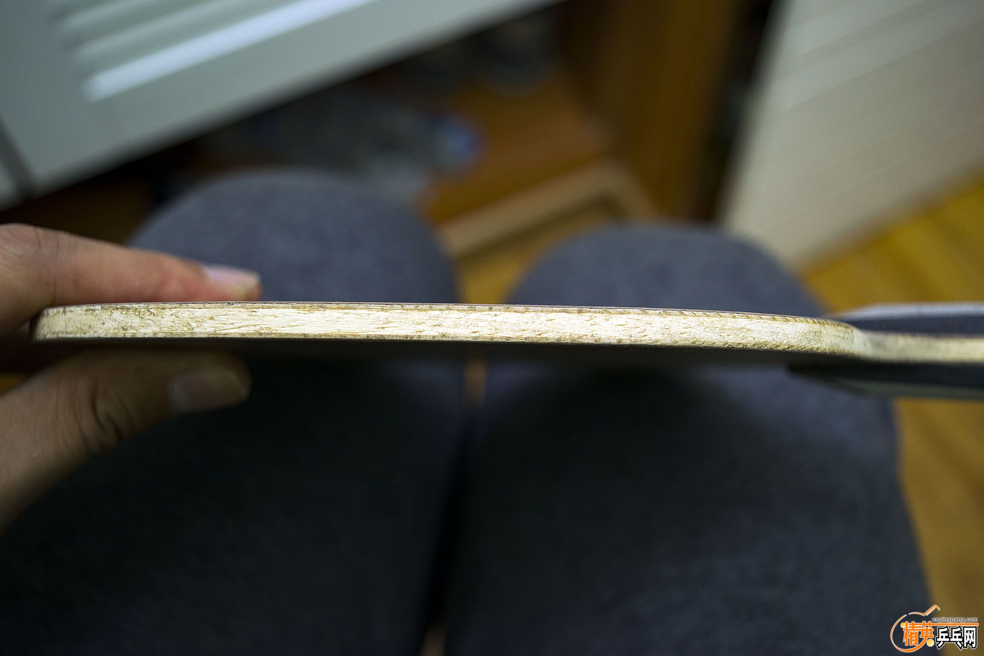 DSC_0764.jpg
