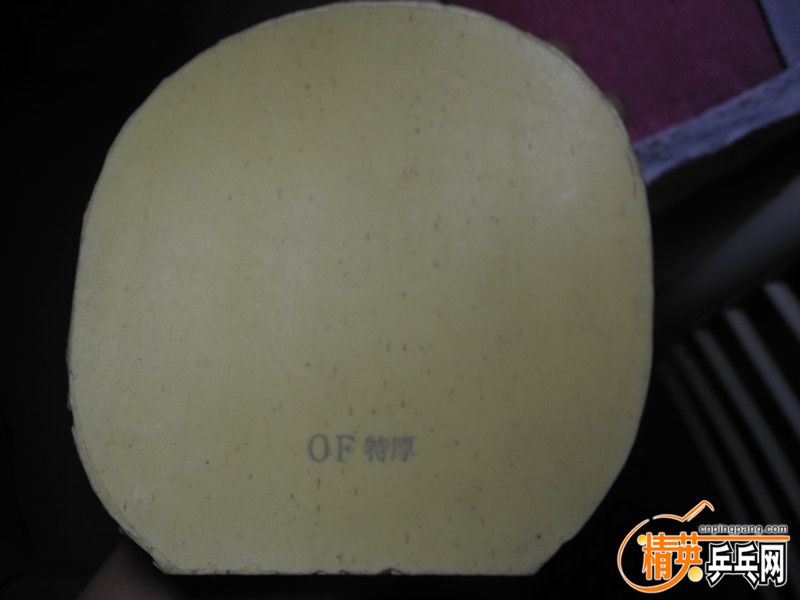 DSCN0054_.jpg