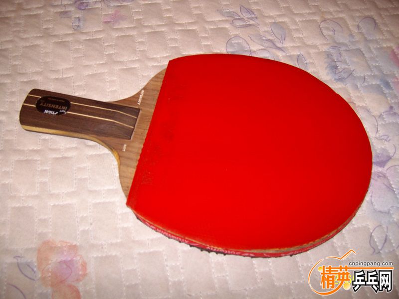 ALIM6785.JPG