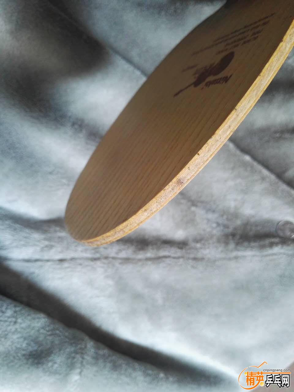 δ˼