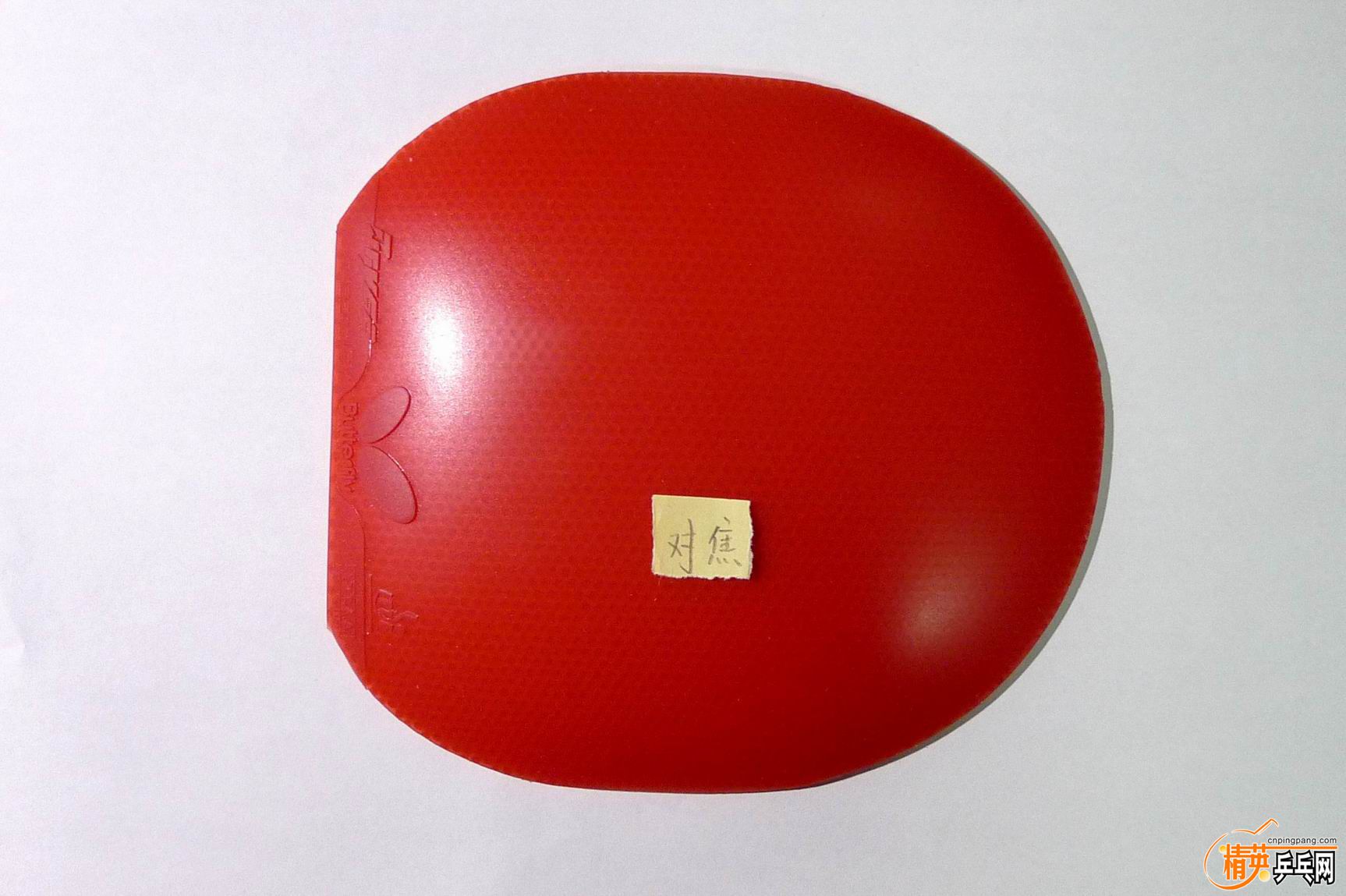 bsf-1.JPG