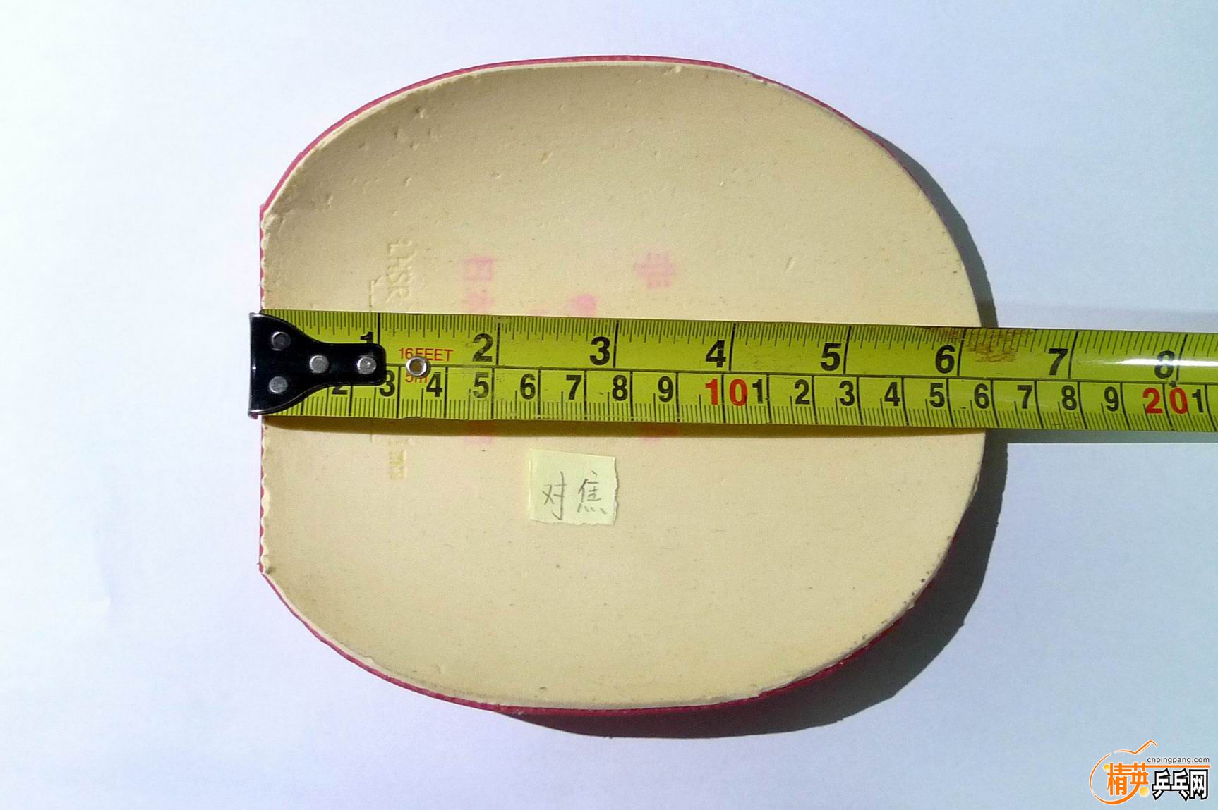 bsf-3.JPG