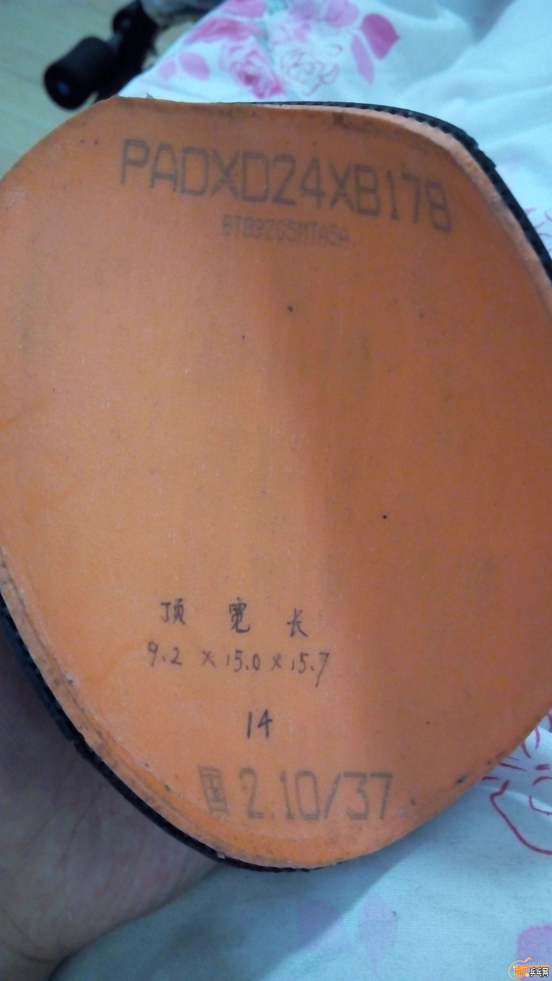 QQͼƬ20160303194248.jpg