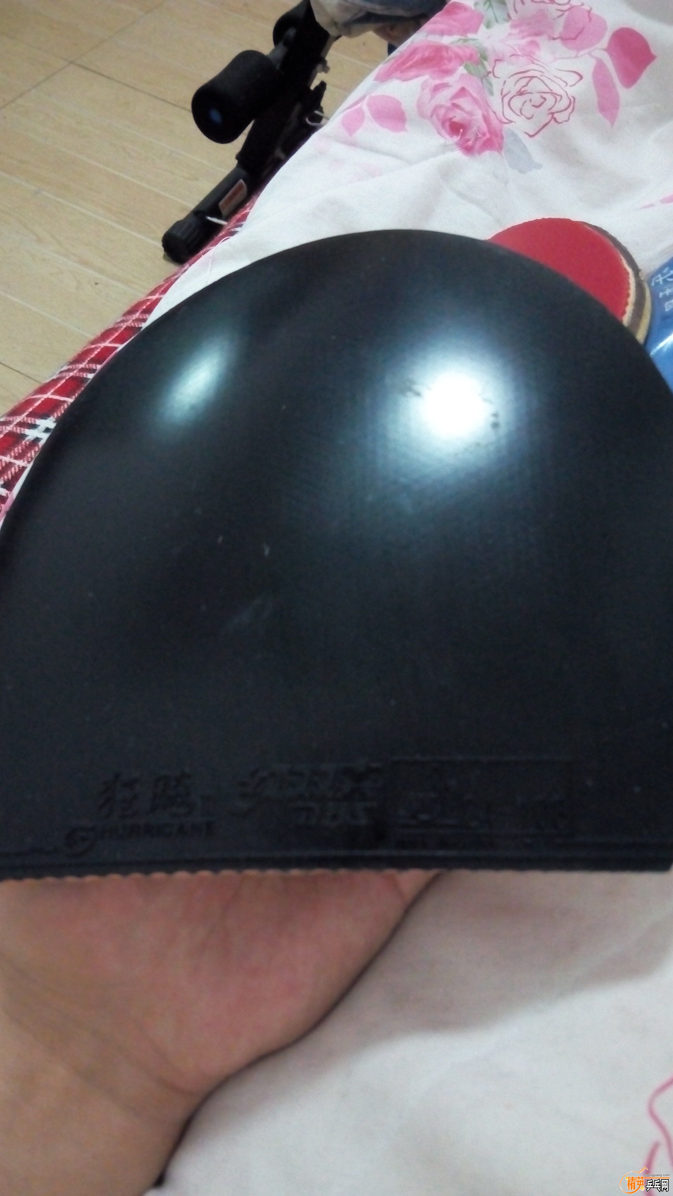 QQͼƬ20160303194313.jpg