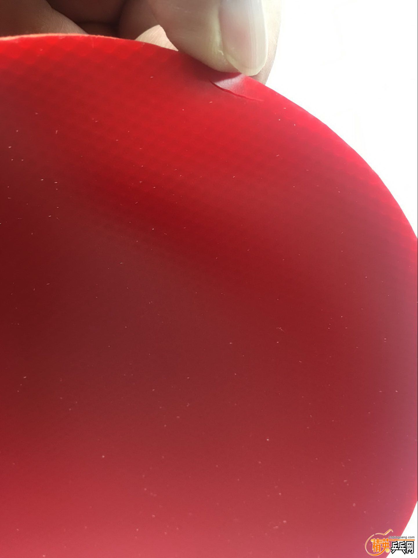 87.jpg