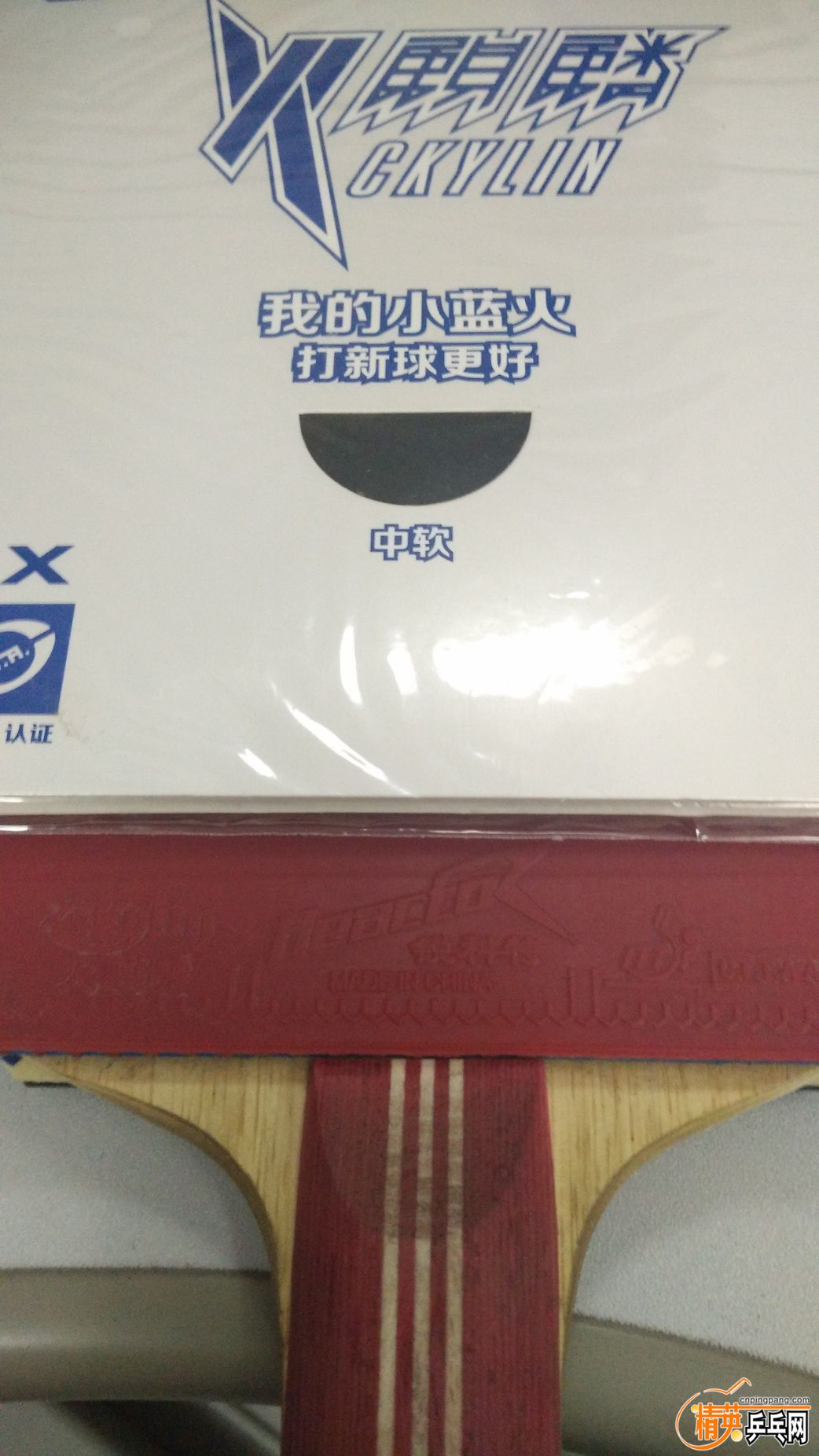 IMG_20160305_132712.jpg