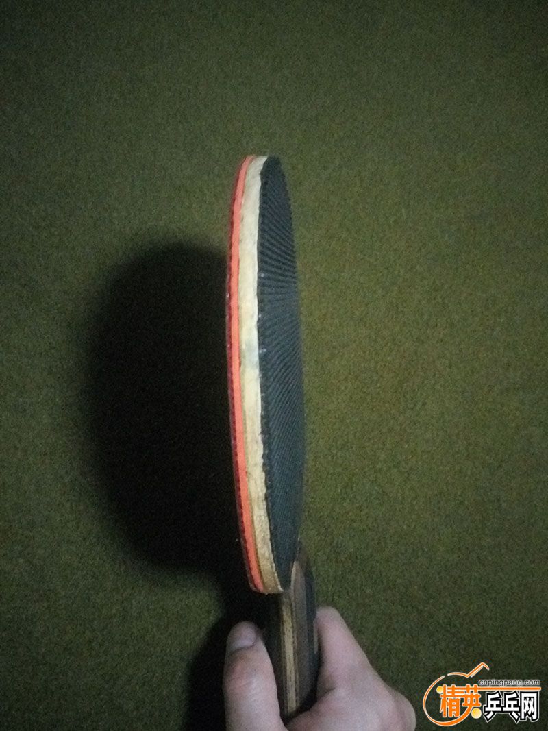  005.jpg