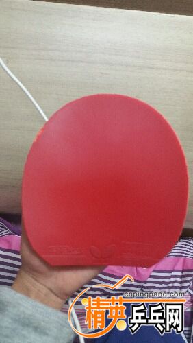 20160307_231740.jpg