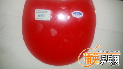 20160308_122749.jpg