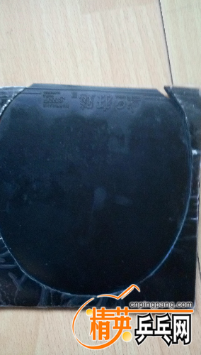 1457414145754.jpg