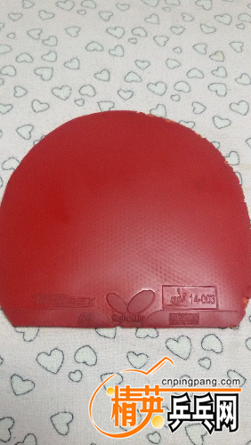 20160225_224033.jpg