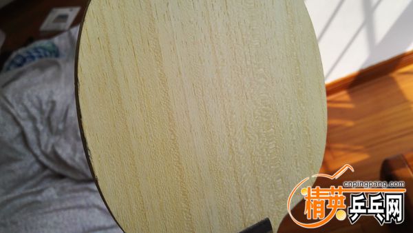 IMG_20160310_134925.jpg