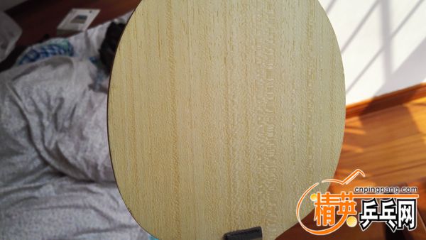 IMG_20160310_134932.jpg