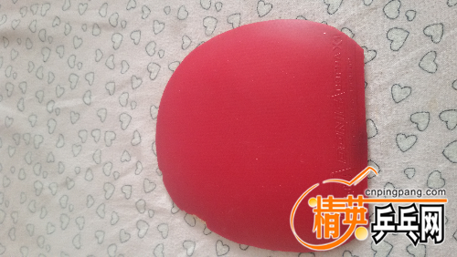20160305_132556.jpg