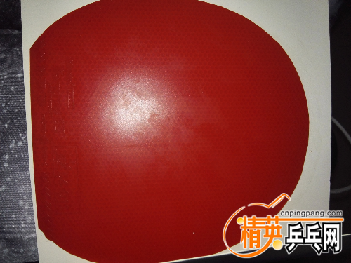 IMG20160308202115.jpg