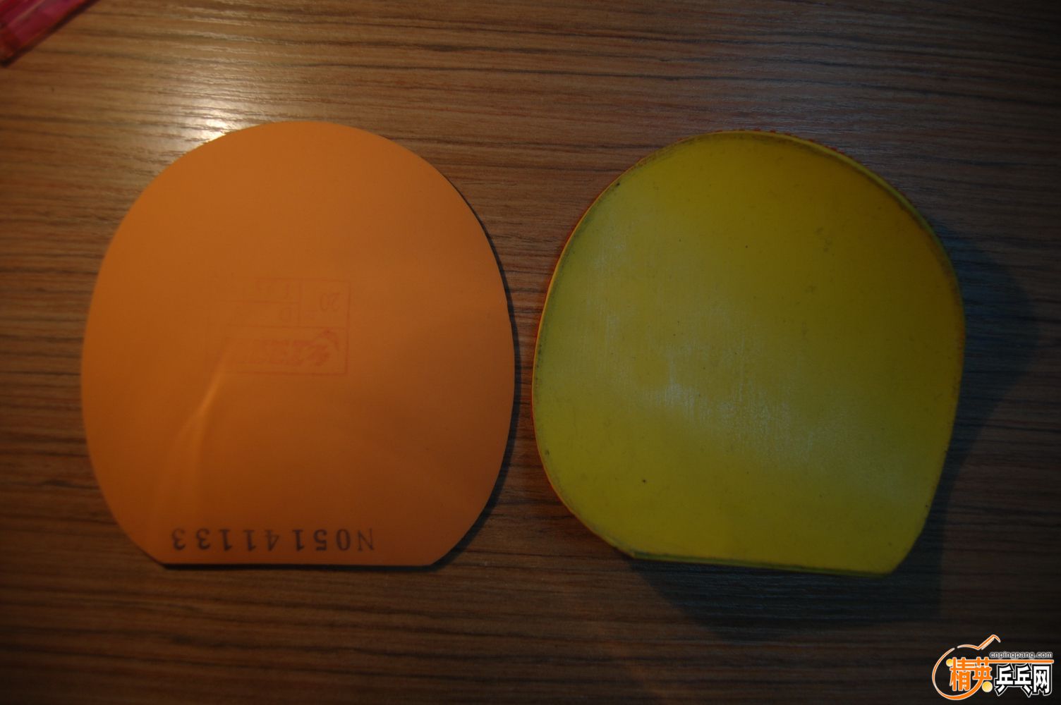 DSC_3521_resize.JPG