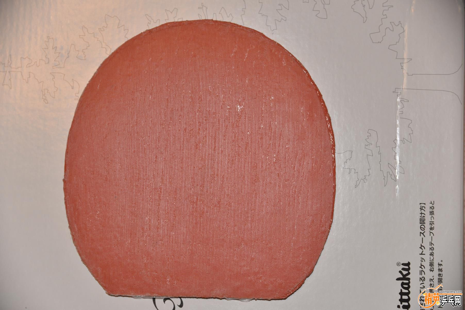 213205fxddpqesctzgdyde.jpg