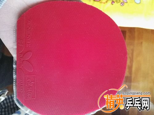 IMG_20160316_065207.jpg