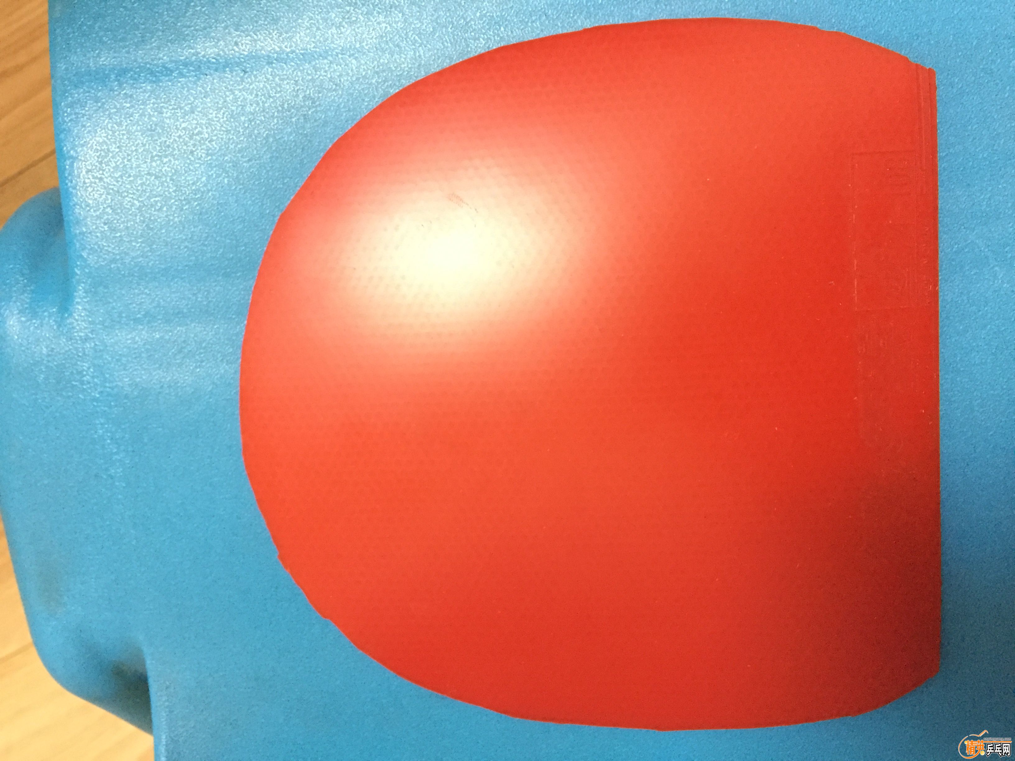 2016-03-13 134557.jpg