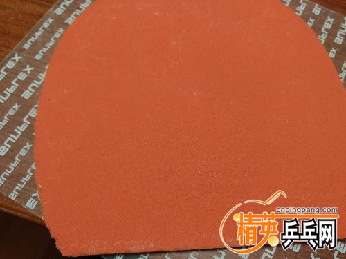 IMG20160316130428.jpg