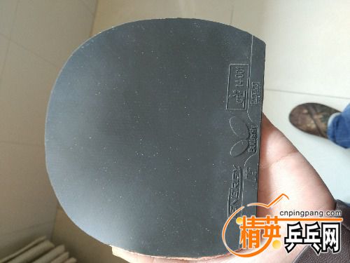 IMG20160316125121.jpg