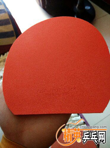 IMG_20160316_123221_HDR.jpg