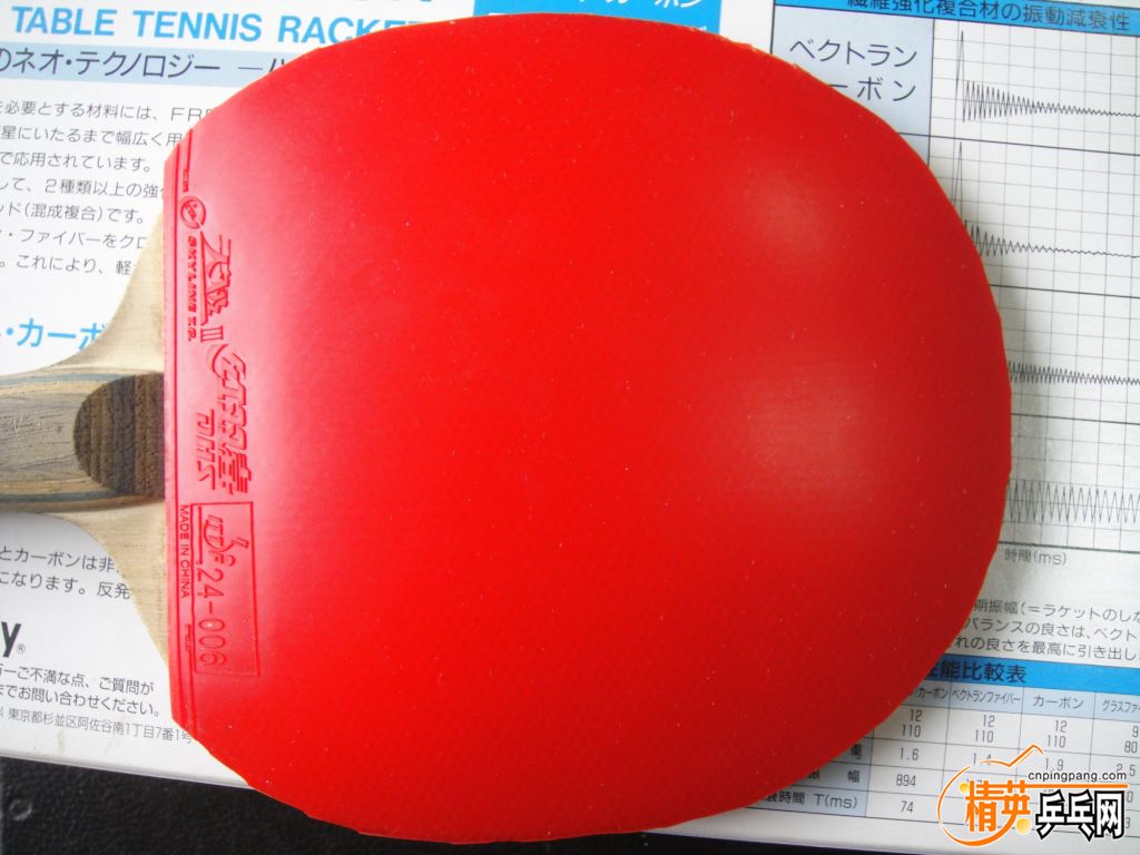 DSC03271.JPG