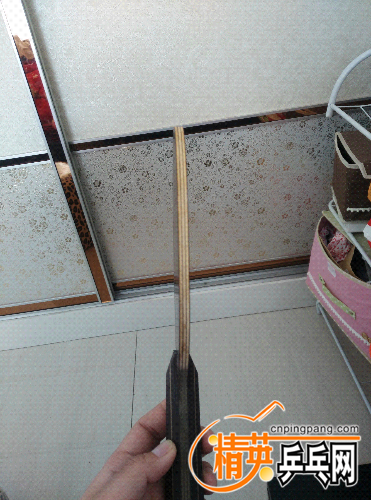 IMG20160316094816.jpg