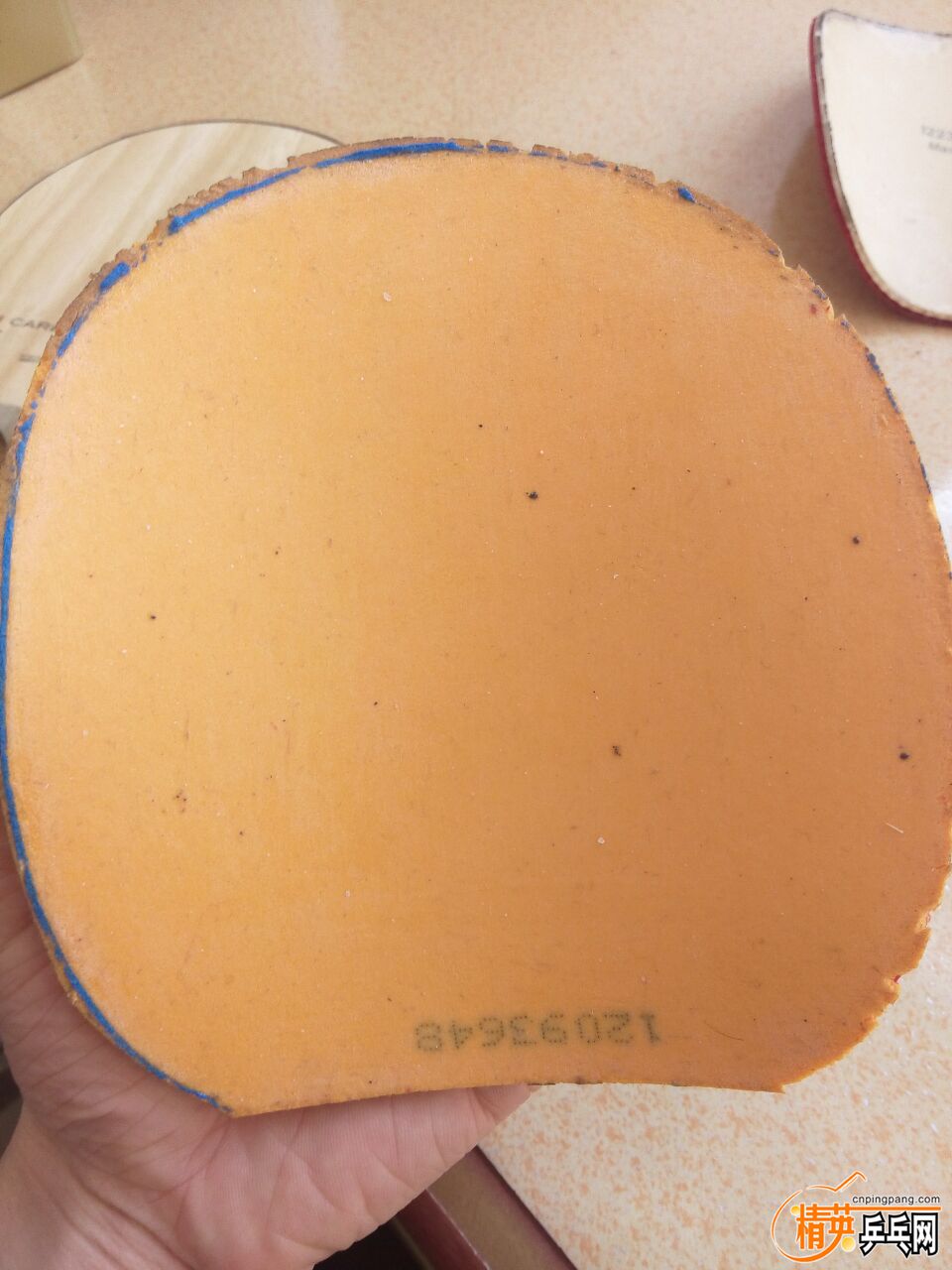 8FDA95CC9FF8F9948A61A5F92047EC81.jpg