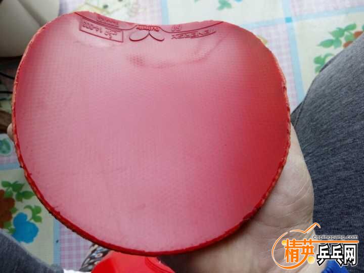 QQͼƬ20160323145851.jpg