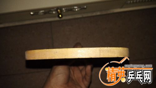 IMG_20160211_101519.jpg