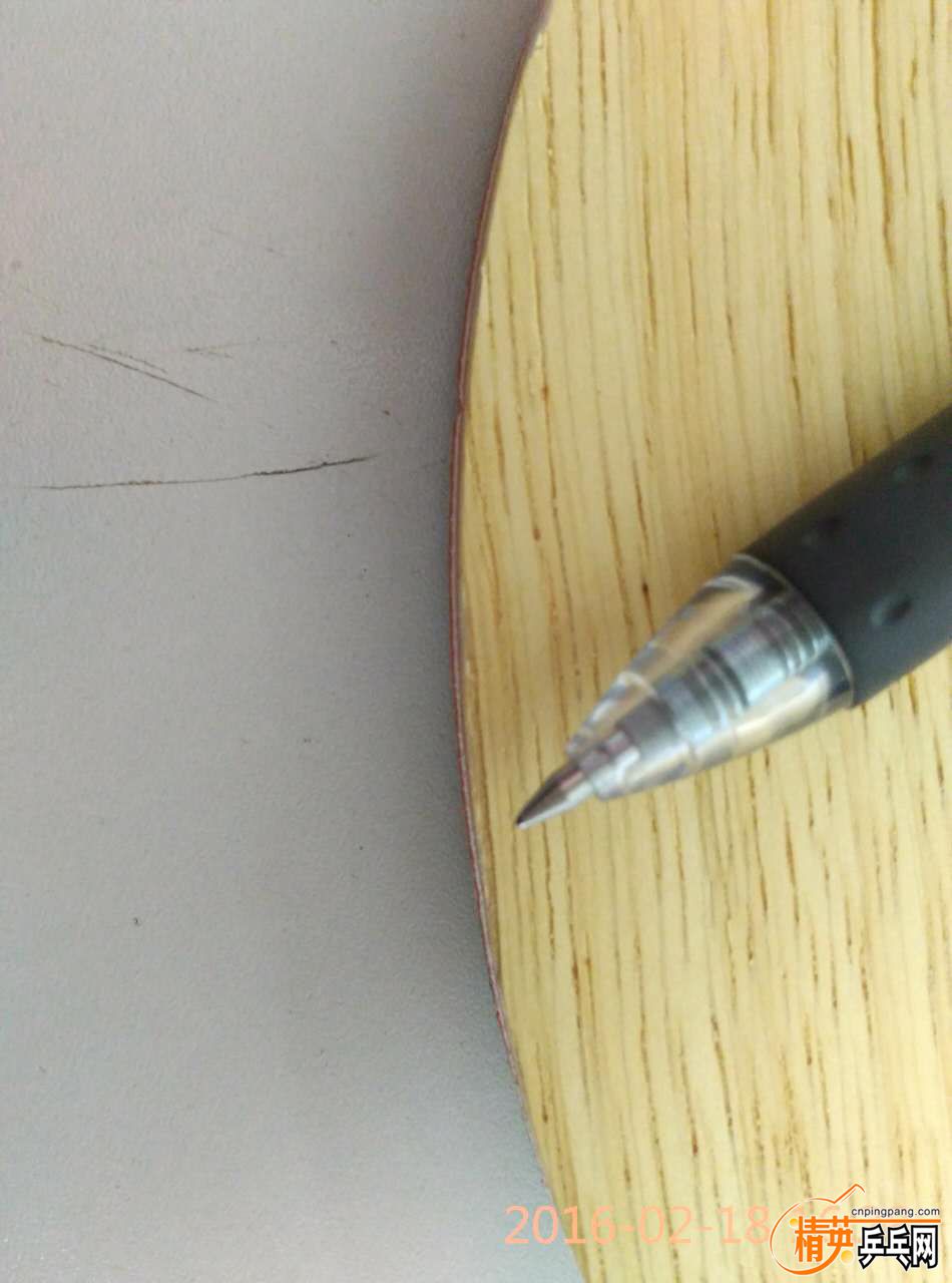 641576100633915733.jpg