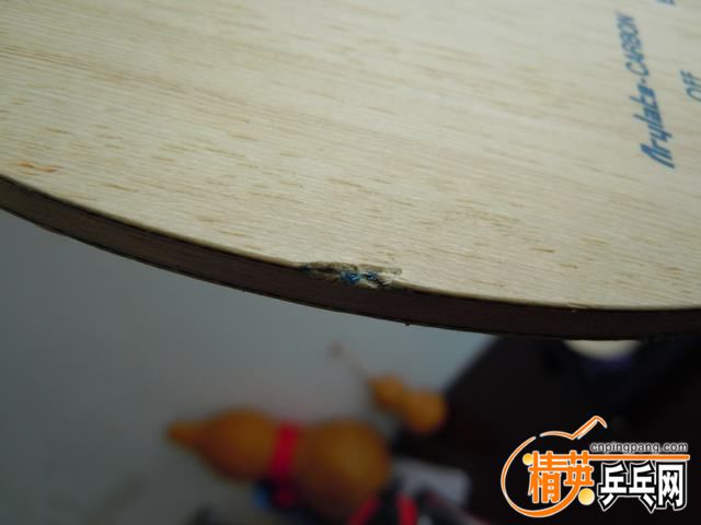 DSCN2443.JPG