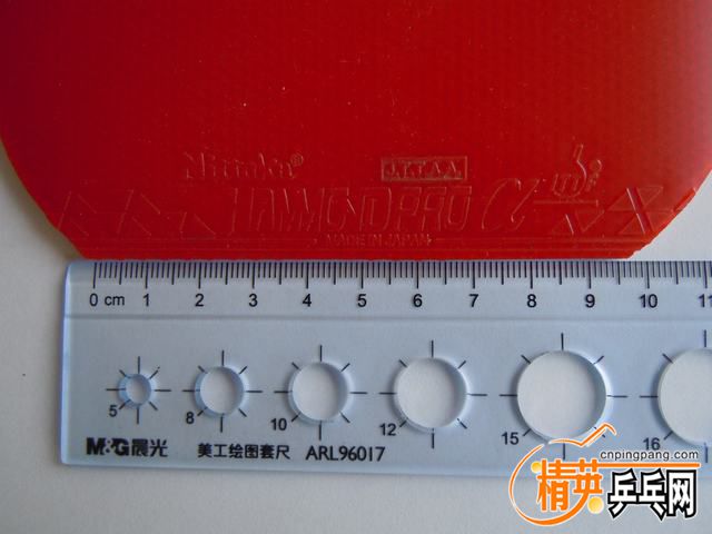 DSCN2487.JPG